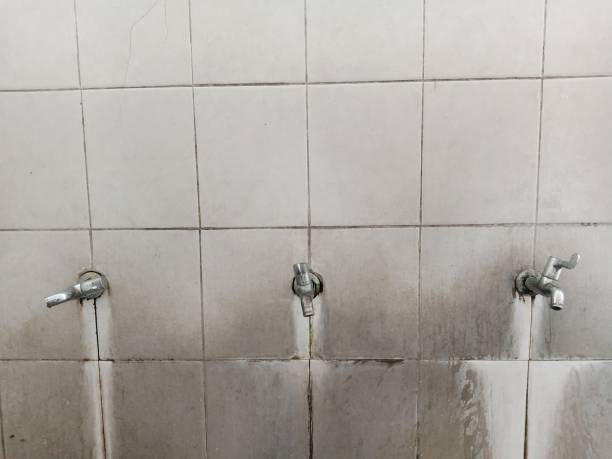 Best Sewage cleanup and water damage restoration  in Saunders Lake, OR