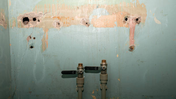 Best Emergency water damage restoration  in Saunders Lake, OR