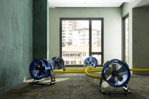Best Water damage restoration near me  in Saunders Lake, OR